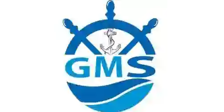 Global Maritime Surveys logo