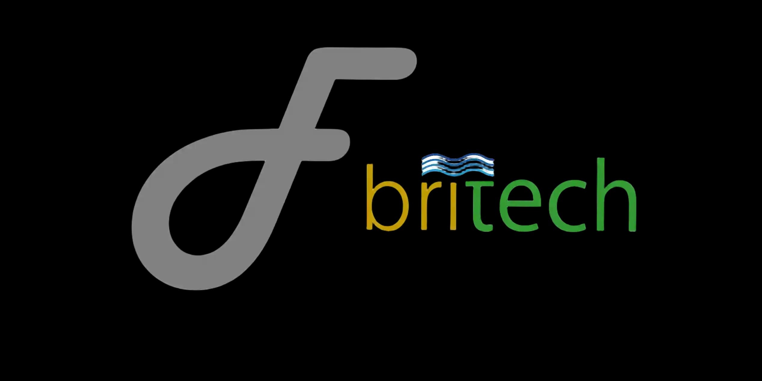 F-britech Marine Services Co.Ltd logo