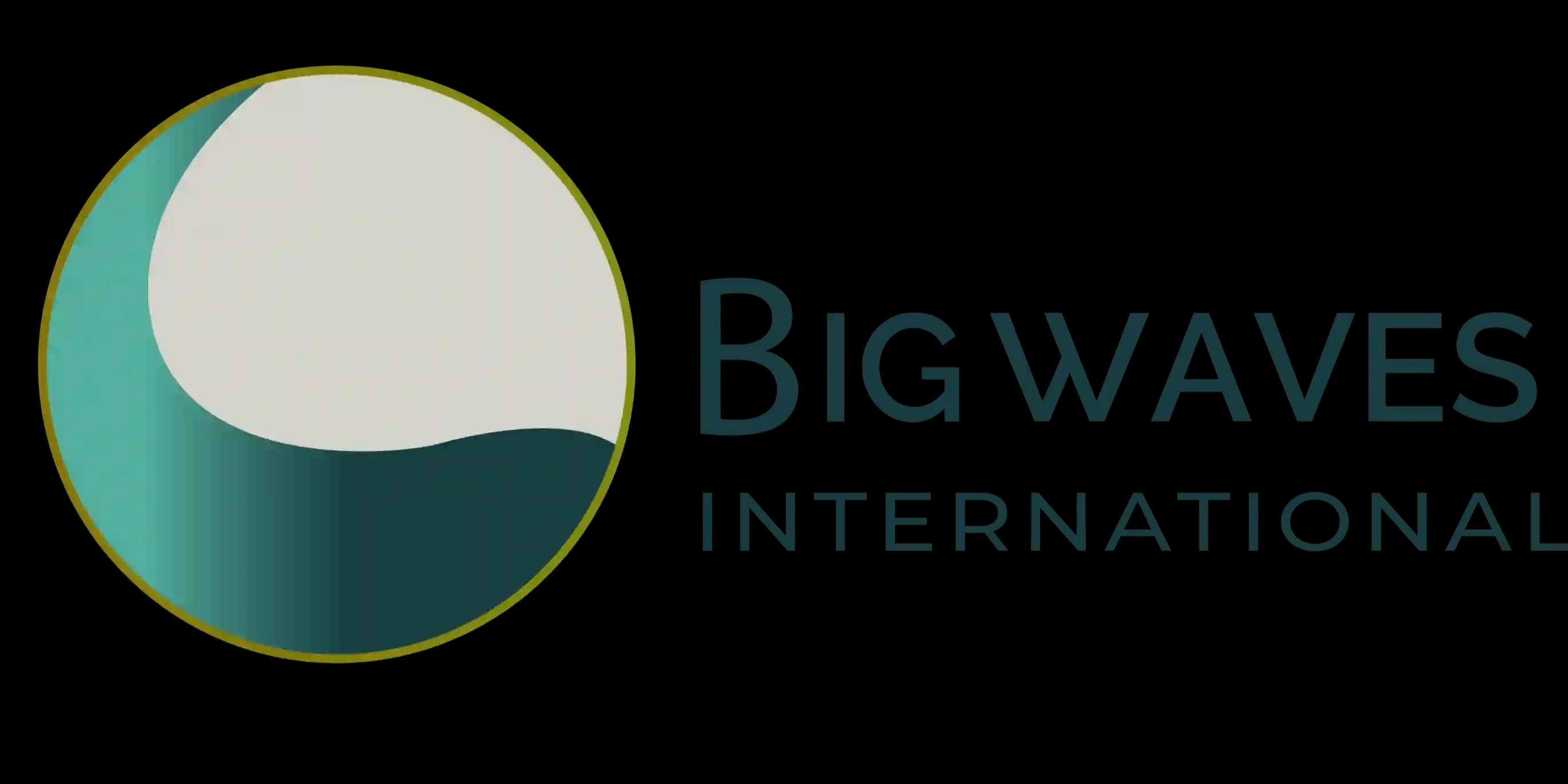 BIG WAVES INTERNATIONAL SHIPPING L.L.C logo