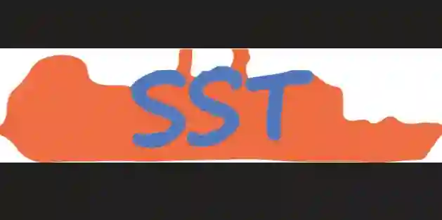 SEA SIDE TRADERS logo