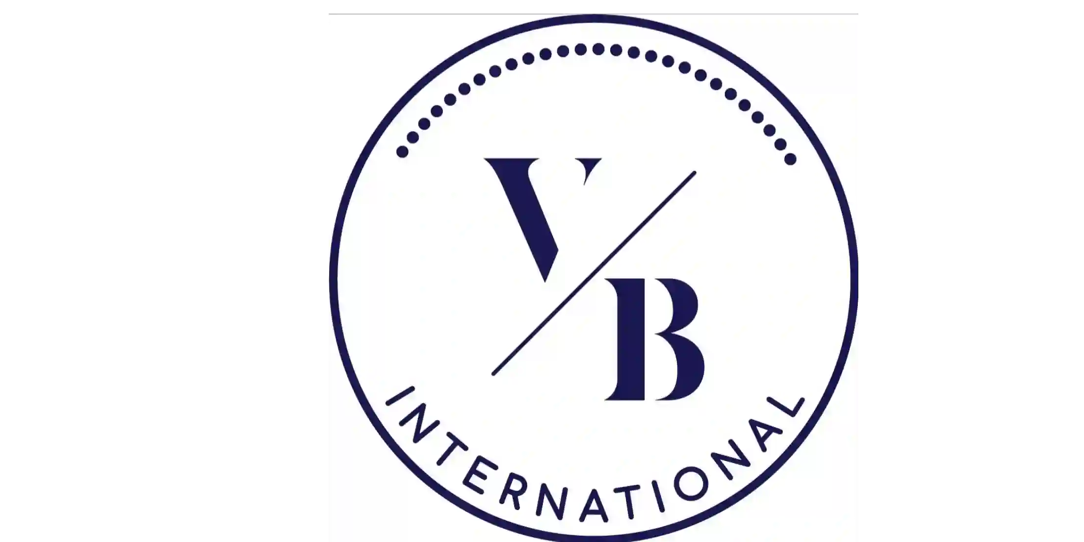 VB International logo