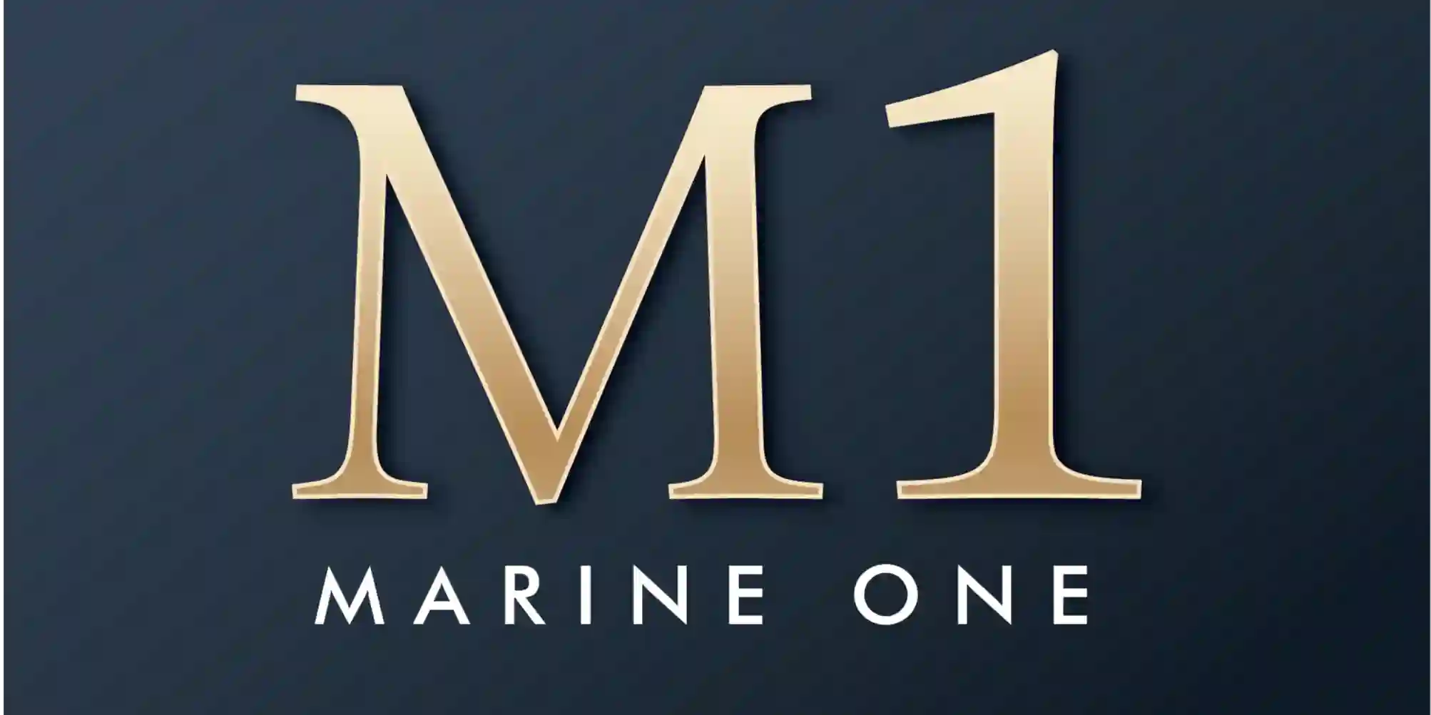 Marine One Pvt Ltd logo