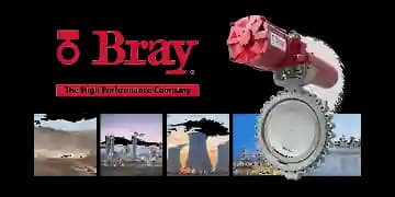 Bray International logo