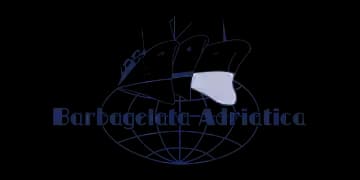 Barbagelata Adriatica S.r.l logo