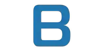 Baltic Shipping Services logo