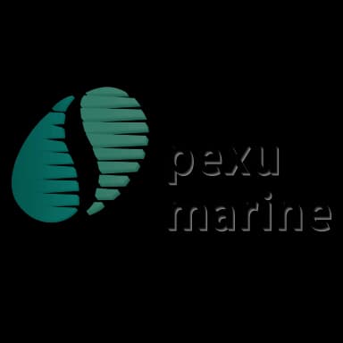 PeXu Marine Engineering QingDao Co.,Ltd logo
