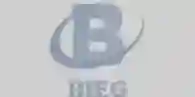 BISHU ENGINEERING GROUP LTD logo