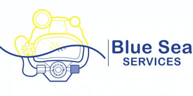 Blue Sea Services logo