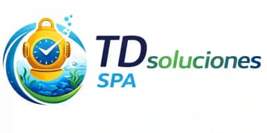 tiempo de soluciones spa logo