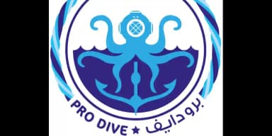 PRO DIVE logo