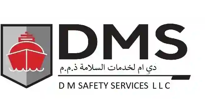 D M SAFETY SERVICES LLC logo