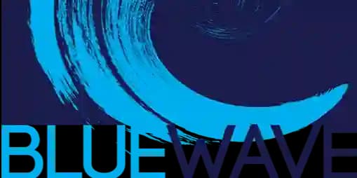 BlueWave Services logo